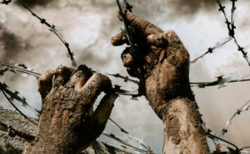 Was Hitler vorgeschlagen hat ist das was in Gaza angewendet wird