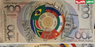 Dollar-Killer Beim BRICS-Gipfels wurde dem russischen Präsidenten Wladimir Putin ein Prototyp einer möglichen Banknote gezeigt