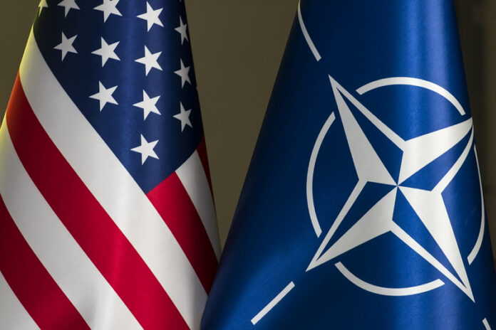 Republikanische Abgeordnete schließen sich Musk an und fordern den Austritt der USA aus der NATO
