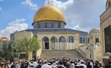 Israel erlaubt der bisher größten Gruppe von Juden, in der Al-Aqsa-Moschee zu beten